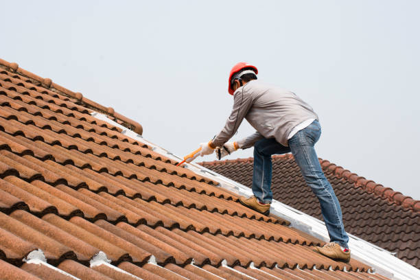 Best Roof Leak Repair  in Franklin, TN