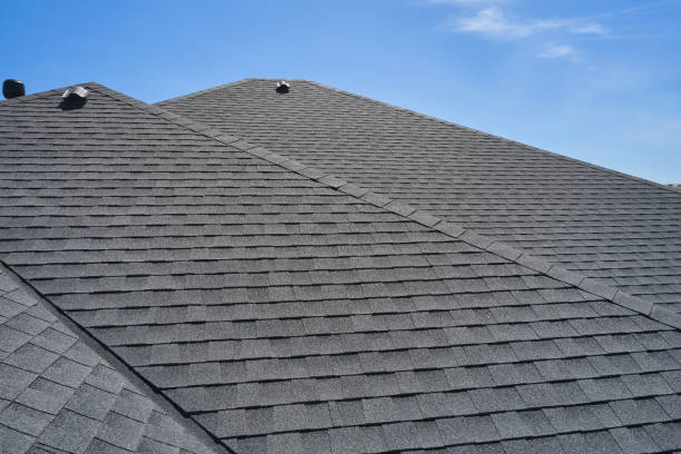 Best Skylight Installation and Repair  in Franklin, TN